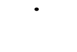 Bildmodul